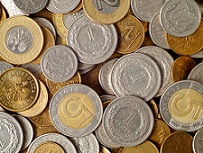 legal and tax advice within the process of formation of a company in Poland.